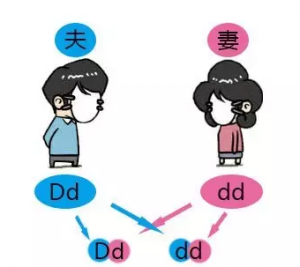 熊猫血小孩