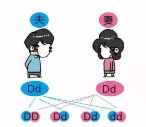 熊猫血小孩