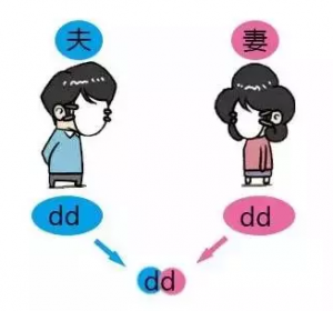 熊猫血小孩