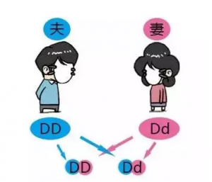熊猫血小孩