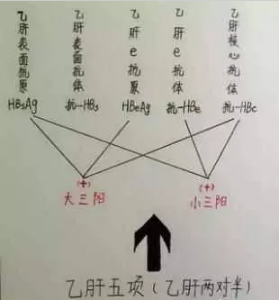 献血能查出肝炎吗