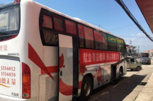 干部献血