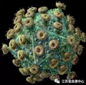  江苏省血液中心