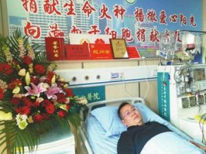 献造血干细胞