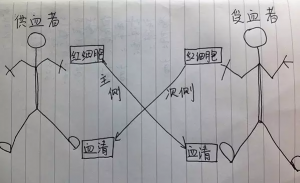 交叉配血详解图