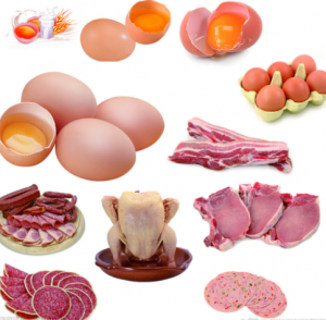 献血后怎么补充营养-今日献血