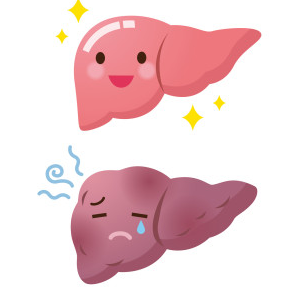 脂肪肝能献血吗