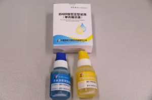 ABO血型正定型检定卡