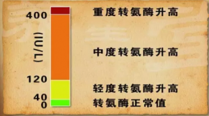 献血转氨酶要求多少